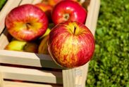 Analiza 15/2016: Regulacje prawne ograniczają opłacalność produkcji cydru w Polsce