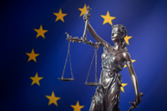 FOR Communication 37/2020: Single Market and the rule of law more important for Poland’s development than the EU funds