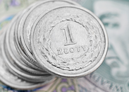 Inflation in Poland: Prices are Rising at the Fastest Pace in 10 Years