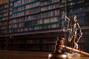 FOR Communication 3/2024: Do not degrade legislation any further